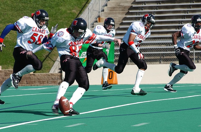 和观赏性 和观赏性