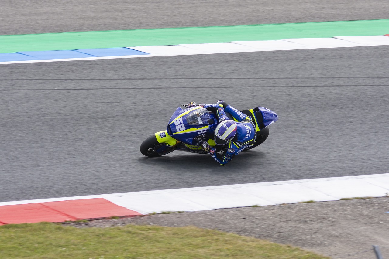 活力和经验 活力和经验