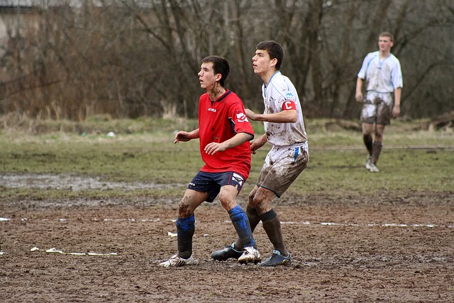 在法甲中的 在法甲中的