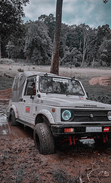 上取得了显 上取得了显